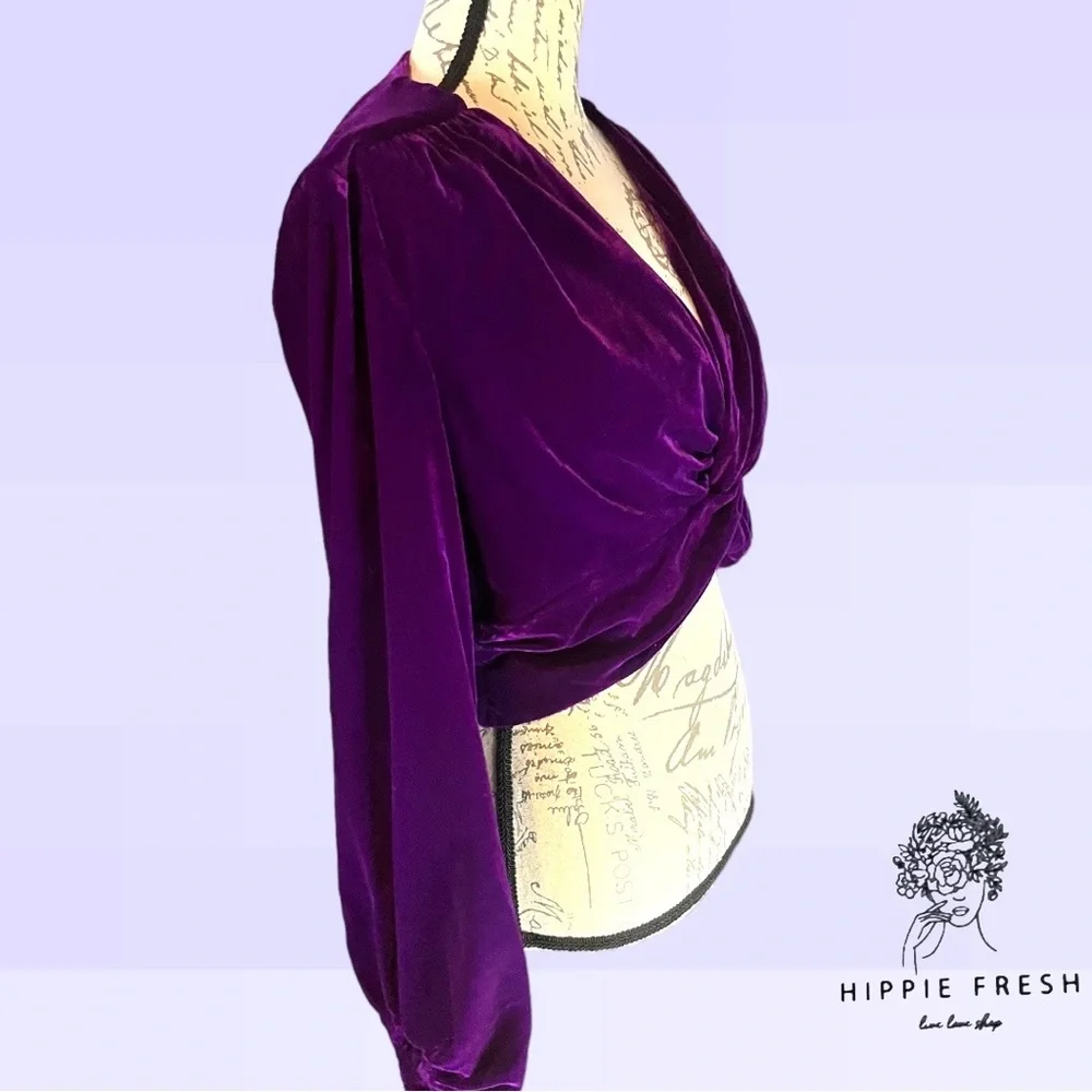 Zara Purple Velvet Blouse - Picture 7 of 8